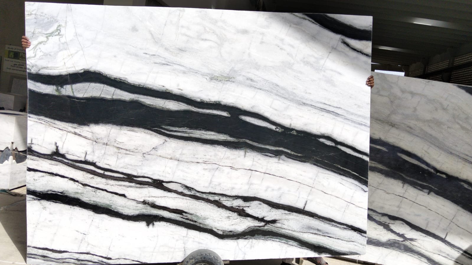 Panda White Marble angle view